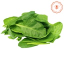 ESPINACA COMUN CONFIABLE X 250GR