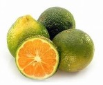 LIMON MANDARINO CONFIABLE X KG