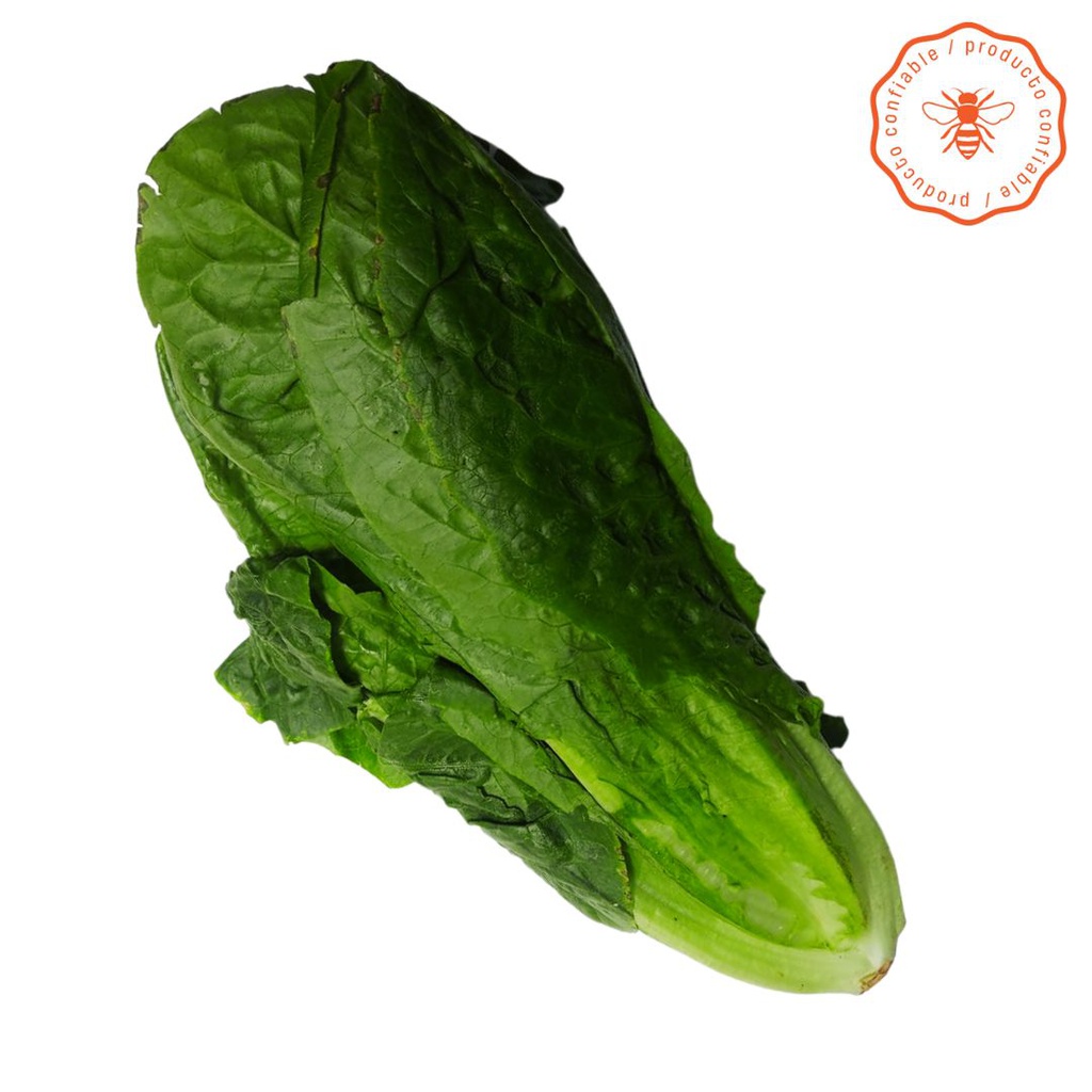 LECHUGA VERDE ROMANA ORGÁNICA X250GR